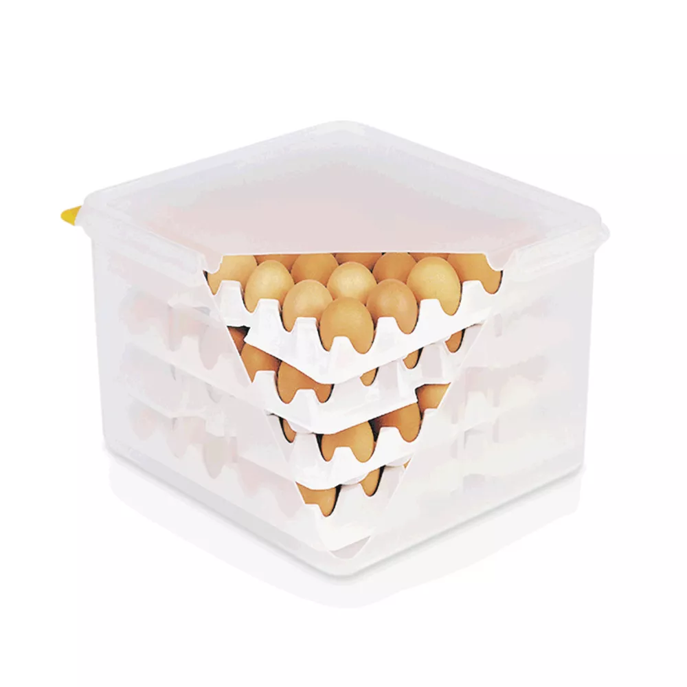 Eierbox  aus Polystyrol